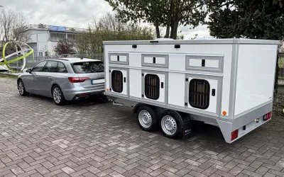 Dog Trailers - MINIVAN 6