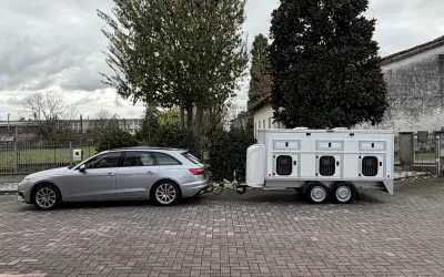 Dog Trailers - MINIVAN 6