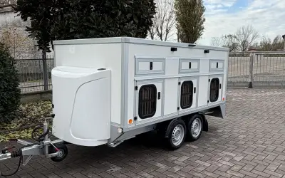 Dog Trailers - MINIVAN 6