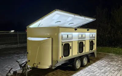Dog Trailers - MINIVAN 6