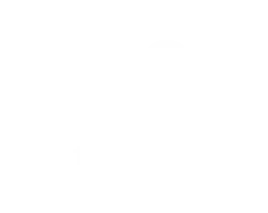 Since 1962
