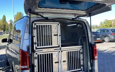 Trasformazioni - MERCEDES VITO